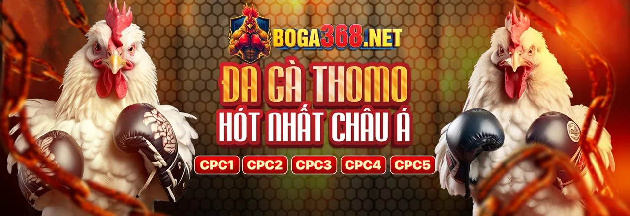 Tin tức và cập nhật mới nhất từ kufun casino trực tuyến